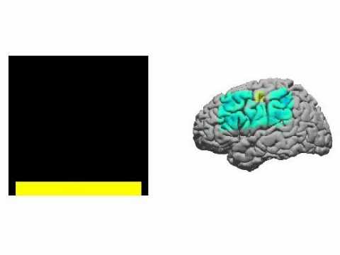 Two - dimensional Brain Computer interface