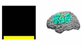 Two - dimensional Brain Computer interface