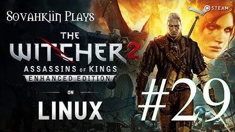 Sovahkiin Plays on Linux: Witcher 2 - Episode 29