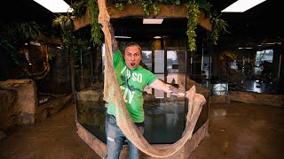 CAUGHT MY GIANT ANACONDA IN THE ACT OF SHEDDING!! RARE FOOTAGE!! | BRIAN BARCZYK