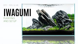 20 Gallon Iwagumi Planted Aquarium  EP2 60U & Me