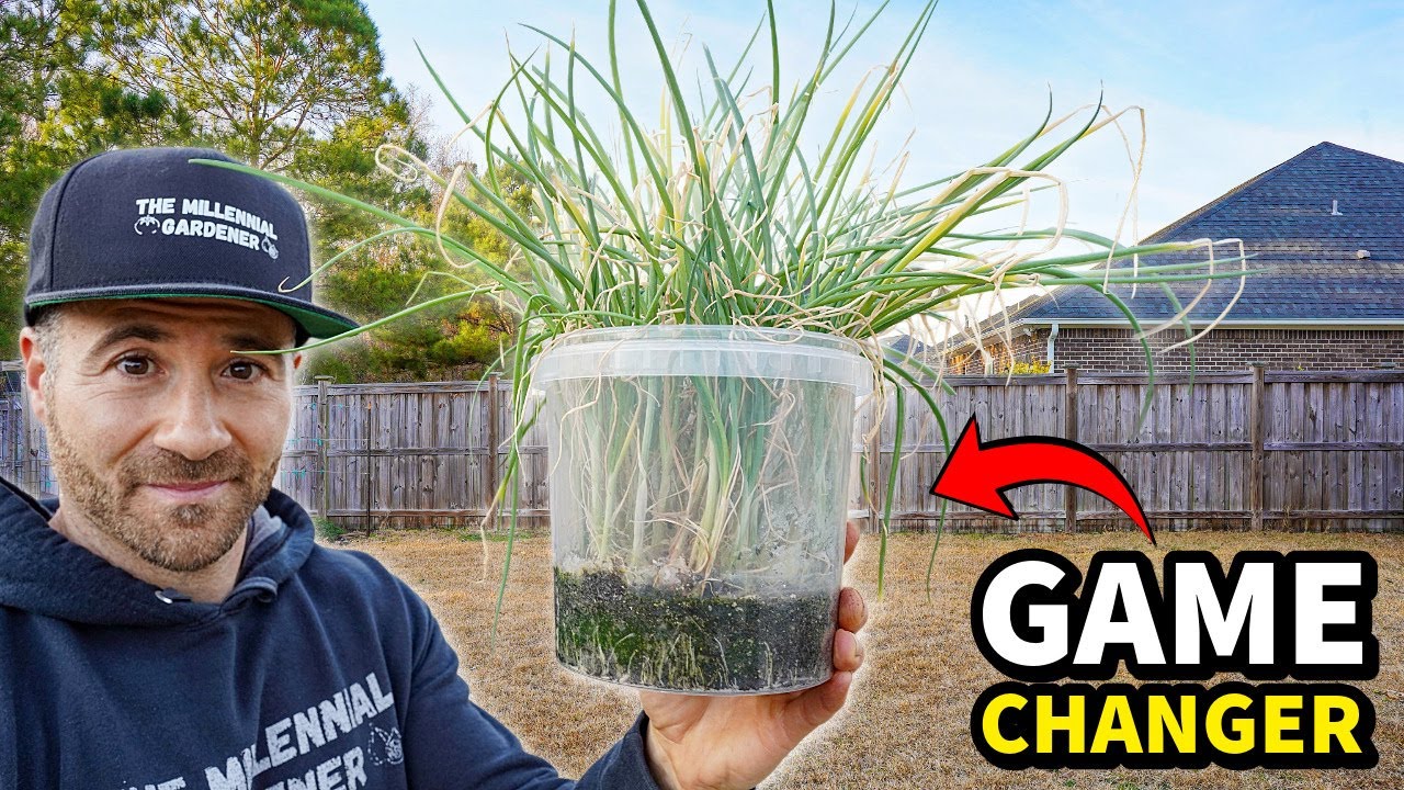 These FREE Containers Are Your Garden's New BEST FRIEND!