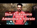 How To Remove Ammonia & Nitrate In Aquarium / Ammonia In Fish Tank / Nitrate in Fish Tank / How To ?