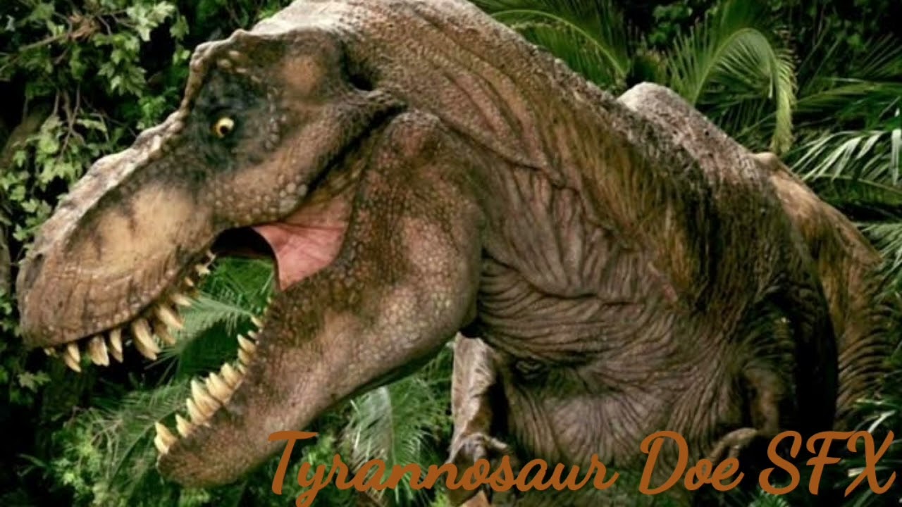 Sound Effects: Tyrannosaur Doe
