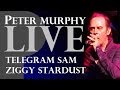 Peter Murphy Full HD Telegram Sam Ziggy Stardust In Los Angeles 2014 mp3