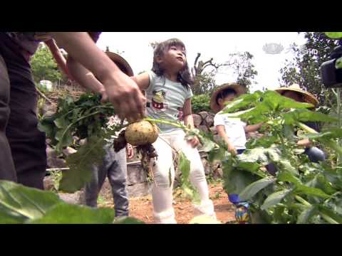 【現代心素派】預告 - 20170510 - 在地好食材 - 蘿蔔絲餅