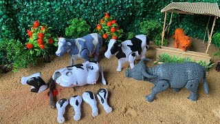 Wadidau   !!! Proses Potong Sapi Kurban | Oleng Tejo #sapi