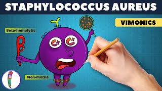 Staphylococcus aureus Visual mnemonic (vimonic) \/ Staphylococcus aureus microbiology