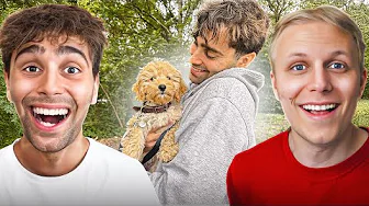 MAT HAR FÅET HUND! | RELEVANT PODCAST #307