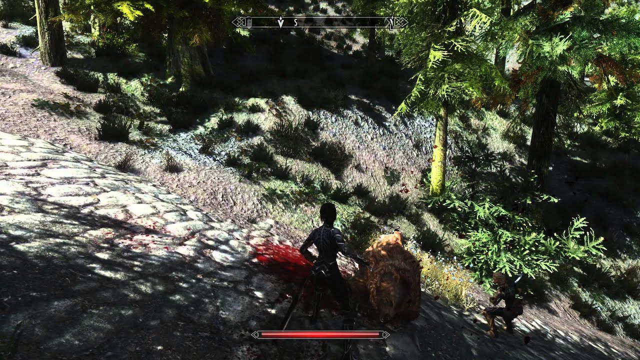 Skyrim GTX 770 Mods Gameplay