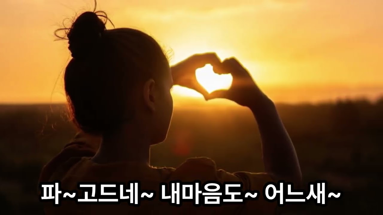 아!가을이어라트롯트