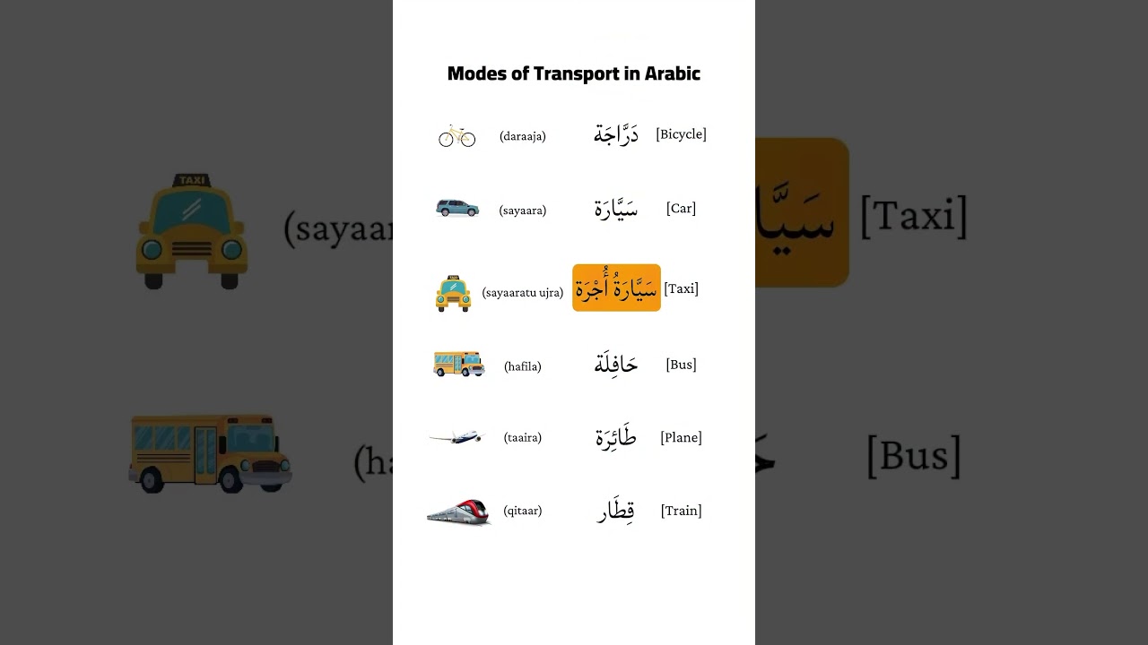 Learn modes of transport in Arabic 🚘  #arabicstudent #arabicforbeginners #learninga