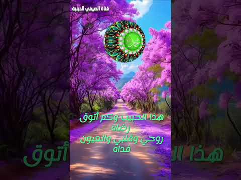 هذا الحبيب وكم أتوق رضاه روحي وقلبي والعيون فداه