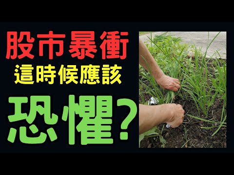 股市暴衝該恐懼? 台積電,仁寶,台積電,宏碁,緯創,大同,電子,金融股,股票,輝達,蘋果,特斯拉,微軟,台幣,美元,存股, 03/04/24【宏爺講股】