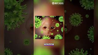 Allergy vs. Cold: Symptoms, Causes & Treatments Explained Fast! #shorts
