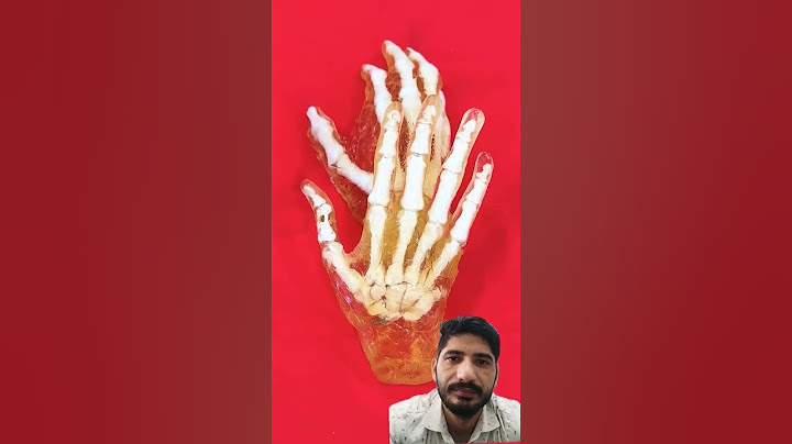 I Tried The Devil's Handshake..ll #stokestwins #shorts #stokestwinsvideo #viralvideo