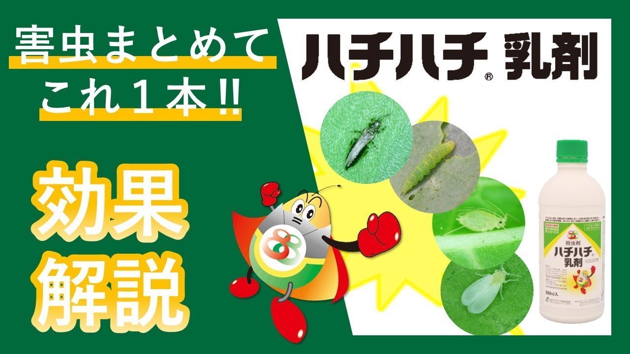 園芸殺虫剤 ハチハチ乳剤 | 日本農薬株式会社