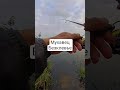 Не клюет#щука#спиннинг#окунь#микроджиг#судак#ультралайт#рыбалка