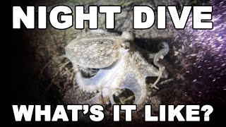 PADI Advanced Open Water Course (Night Dive) What’s it like | Vlog #34 | MayenTV