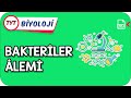 Bakteriler Âlemi | TYT Hızlanış Kampı       #Kamp2021