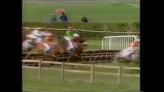1992 Woodchester Bank Downshire Handicap Hurdle