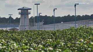 DHS denies new ICE detention center in NC but confirms expansion plans