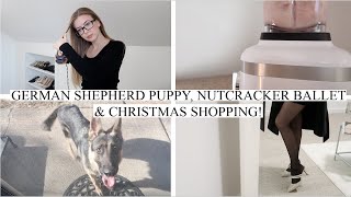 German Shepherd Puppy, Nutcracker Ballet & Christmas Shopping! | VLOGMAS WEEK 2 by Jennifer Jessen 156 views 2 years ago 7 minutes, 28 seconds