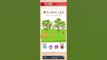 207 level solve brain test