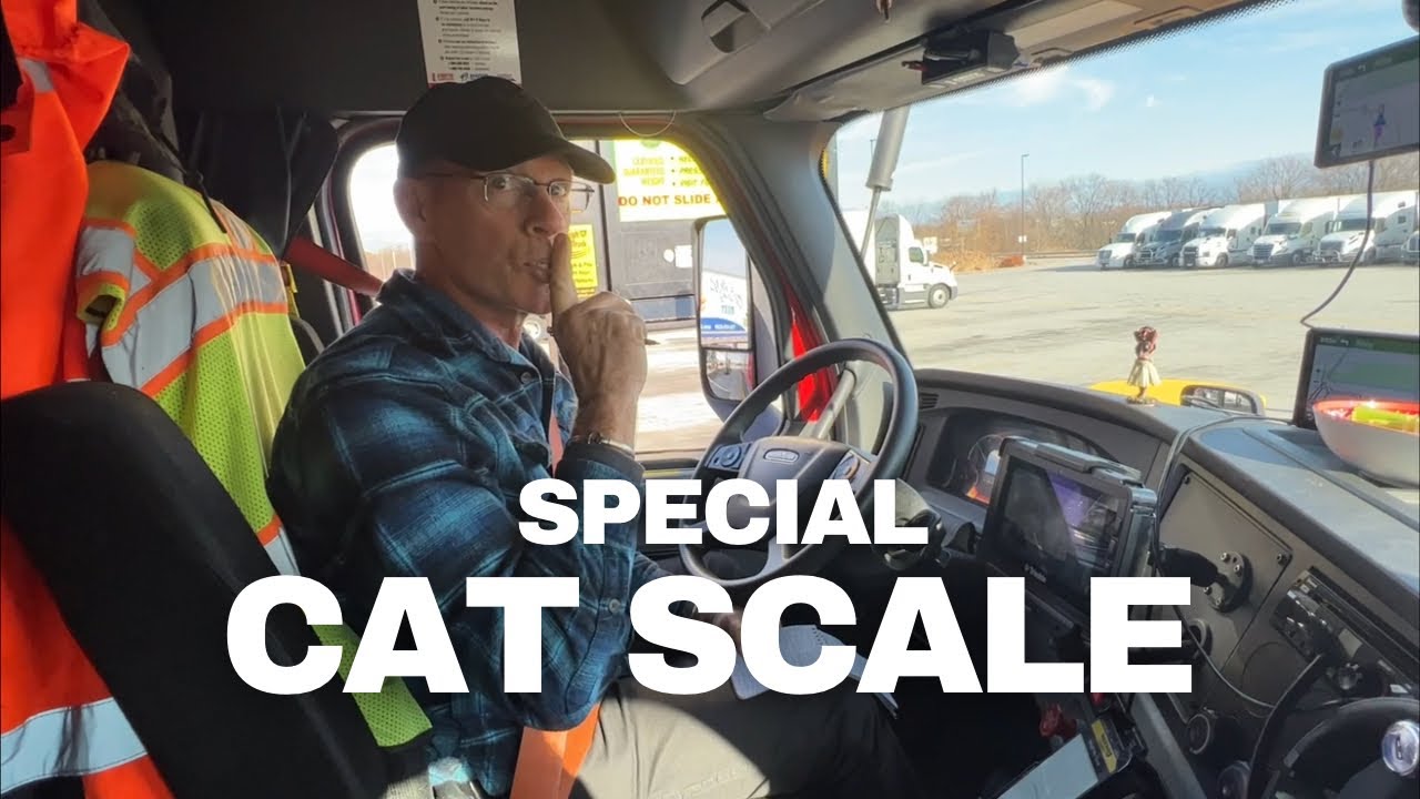 Using a Special CAT Scale - YouTube