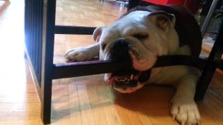 Dont Worry Dad, I Just Dont Want The Chair To Move