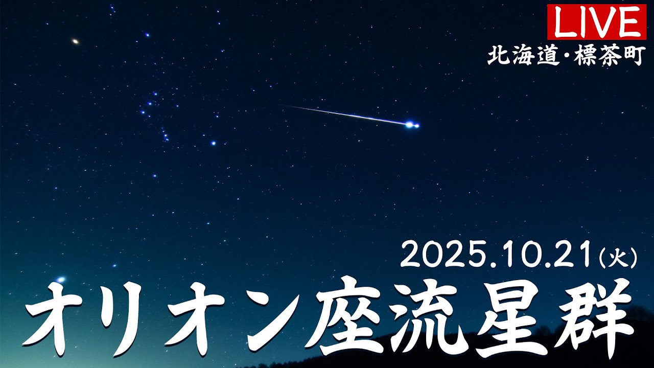 流星群　ミモザ　保水有　100サイズ発送 天体ライブ】オリオン座流星群2025 ライブカメラ 10月21日(火)21:00
