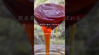 レザーウッド Leatherwood 1kg【HTQ】 | MARIPOSA organic store｜高