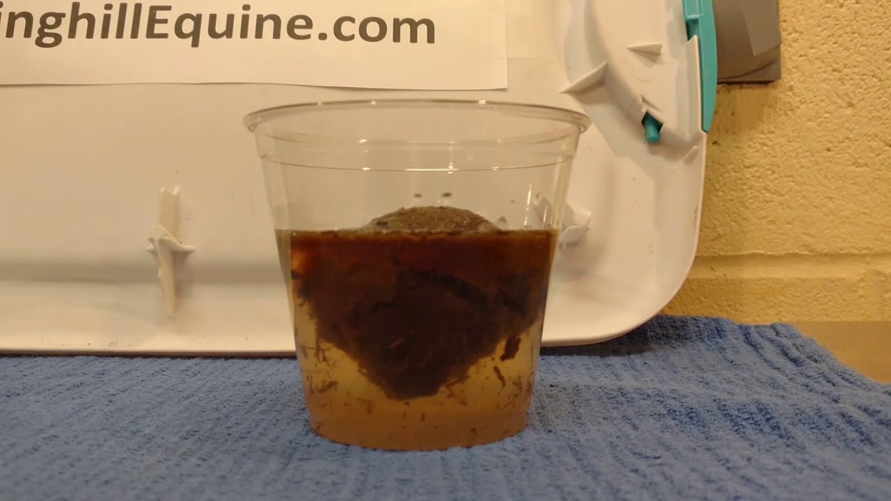 Mineral Oil versus Water for Colic Treatment YouTube