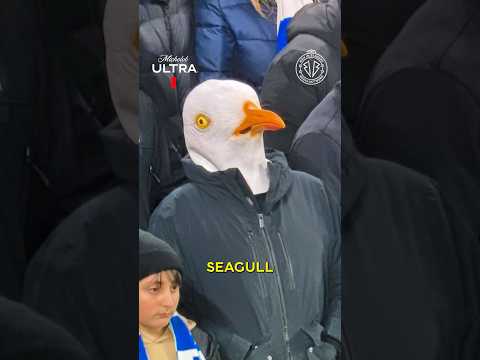 TO THE BRIGHTON FAN IN THE SEAGULL MASK, CHEERS!