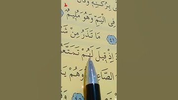 سورة الذاريات الأية 39 إلى 45 بصوت سعد الغامدي