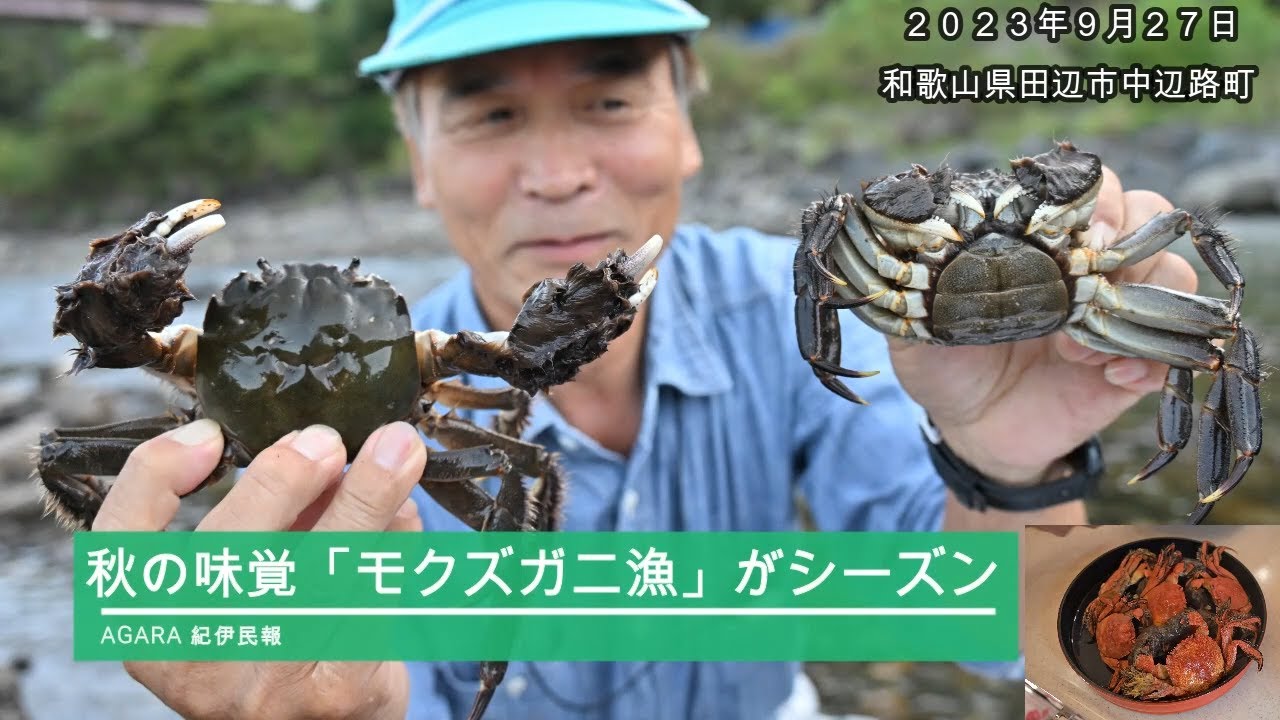 秋の味覚、モクズガニ漁がシーズン - YouTube