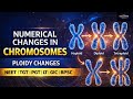 Ploidy Changes Explained | Numerical Chromosome Changes for NEET | TGT | PGT | GIC &amp; Teaching Exams