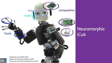 Chiara Bartolozzi. Neuromorphic vision for humanoid robots