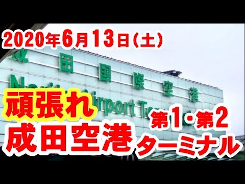 成田空港のいま 年6月13日の成田空港のようす Youtube