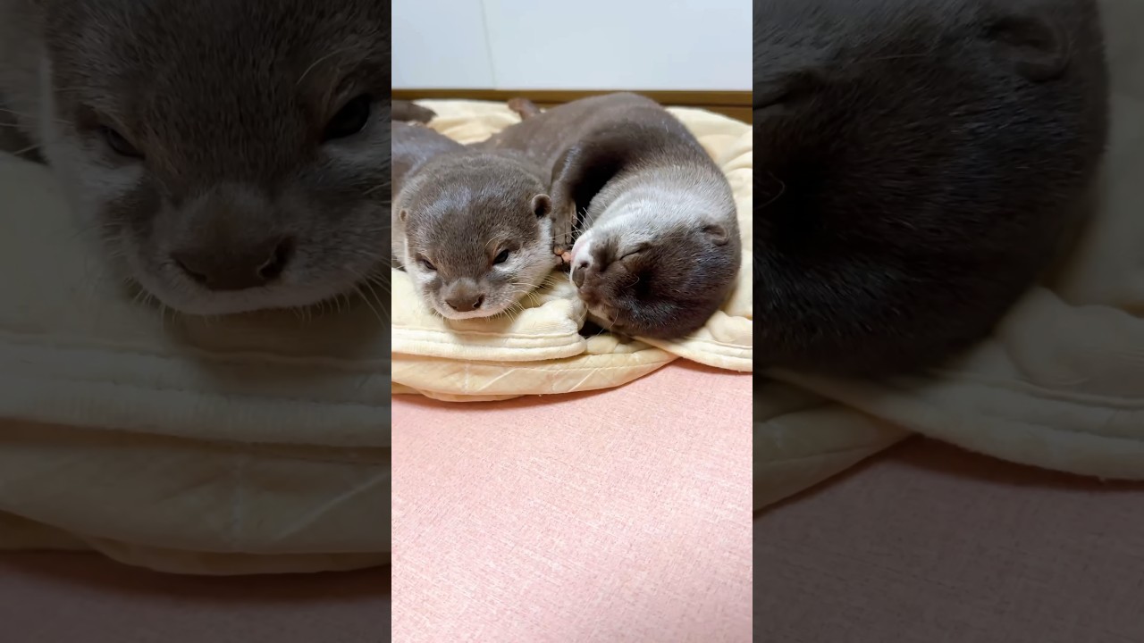 Я хочу флиртовать с тобой больше сегодня