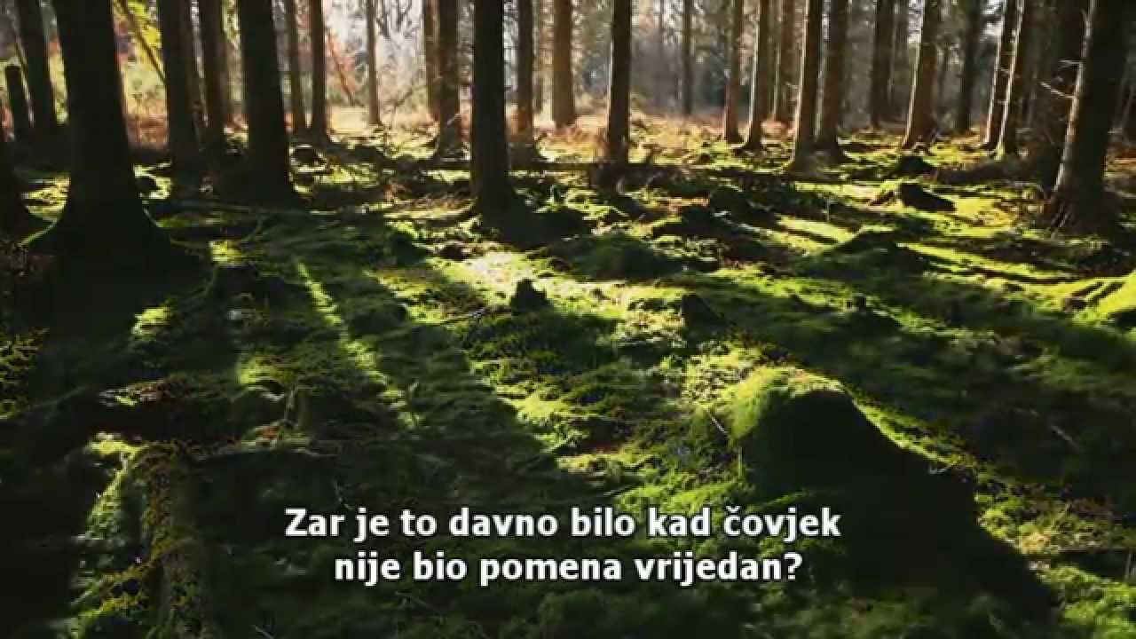 Mishary Rashid Alafasy - Surah Insan