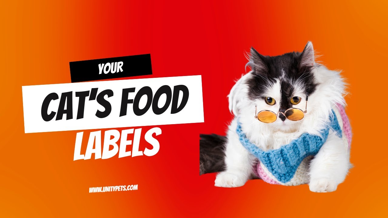 How To Interpret Your Cat's Food Labels