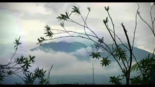 Download Lagu Meggi Jakaria_Sepucuk Surat_MANSYUR S - OM : Purnama MP3