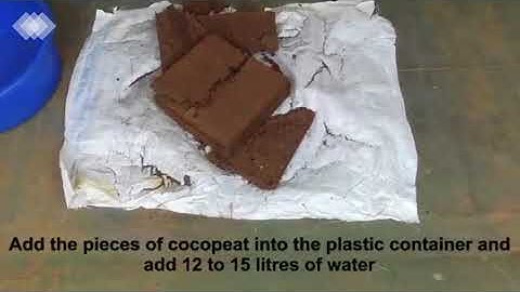 English: Soil and Health Bioclean Microbial Cocopeat - How to make break a 5KG Cocopeat block
