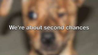 Brooke's Legacy - Second Chances - Think Adoption first!