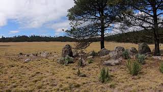 Hermosa Vista del Valle