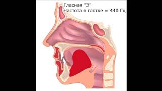 Академическое пение. Попадание в резонаторы с помощью языка. Andre Serba