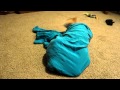 Shiba under a blanket