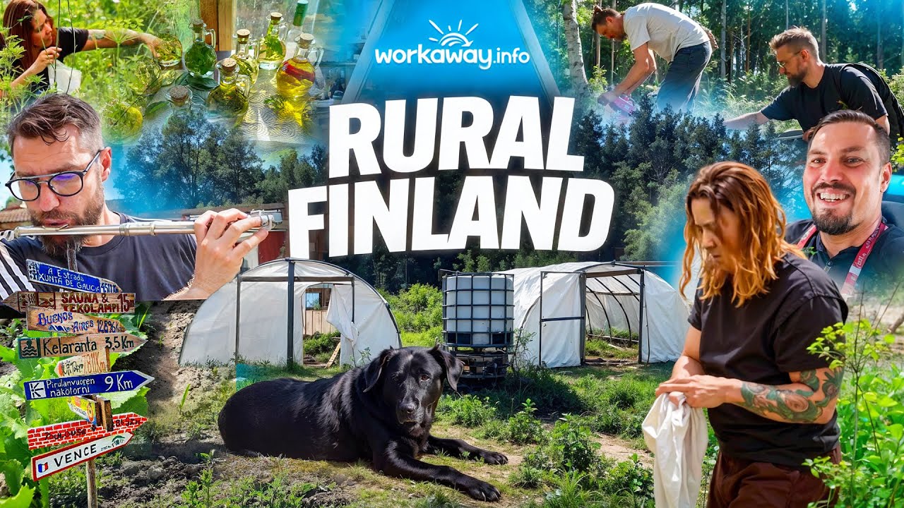 Workaway in Finland: volunteering, sustainable living, and embracing Finnish culture