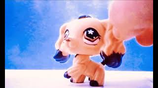 LPS MV: Gift for lps piggy